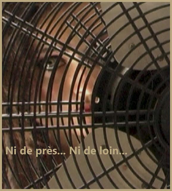 marchés sur nos plates-bandes