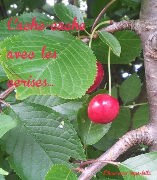 Cerise surprise !