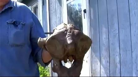 Iowa Des ossements de mammouth dans son jardin