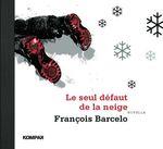 le seul defaut de la neige