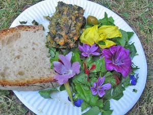 Plantes sauvages, régalez-vous avec !