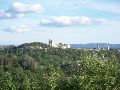 avignon,provence,sud,palais des papes,pont saint bénézet,ile de la barthelasse,fort saint andré