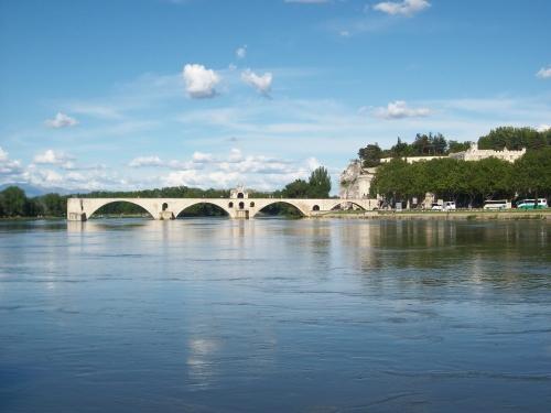 avignon,provence,sud,palais des papes,pont saint bénézet,ile de la barthelasse,fort saint andré