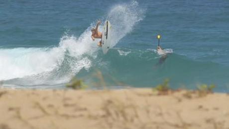 [SHARPEYE] Dernière couv du Transworldsurf…