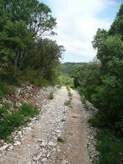 Joies, peines, et espoir ?