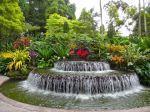 Jardin botanique Singapour