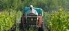 Agriculture : l'usage des pesticides n'est pas indispensable