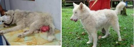 Handle with care : Manipuler avec précaution