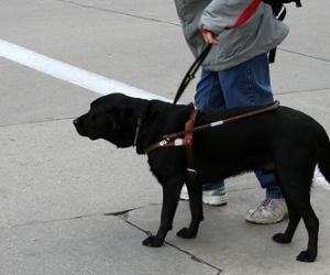 A L'AIDE... à domicile crie l'APF
