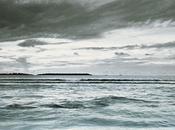 Leurs yeux toujours purs