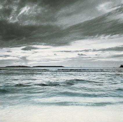 Leurs yeux toujours purs