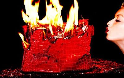 La fille de Clint Eastwood brûle des sacs Hermès : choquée ?
