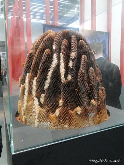 Exposition Babel au Palais des Beaux Arts.