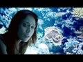 #147 Fiona Apple The idler wheel Review