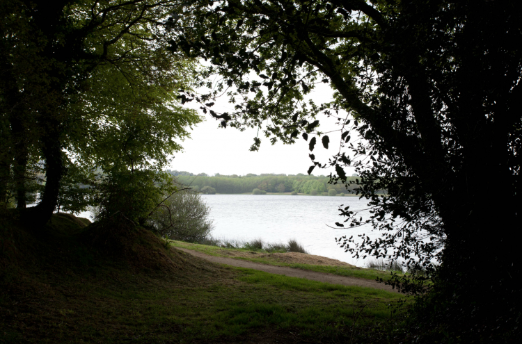 Drennec, Le Mouching, fly fishing, pêche à la mouche