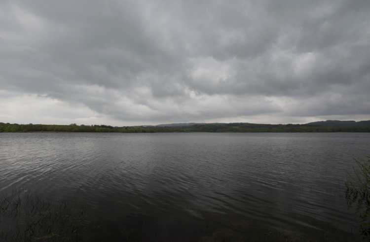 Drennec, Le Mouching, fly fishing, pêche à la mouche