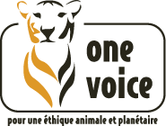 L'association de la semaine : One Voice, pour une éthique animale et planétaire
