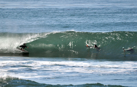 MCCALLUM SURFBOARDS nouveautées…