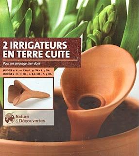 Les plantes en vacances