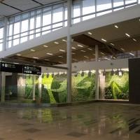 mur-vegetal-edmonton-international-airport-3
