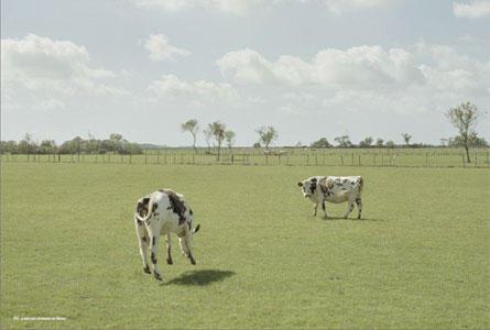 le début et la fin, mélange liquide des genres