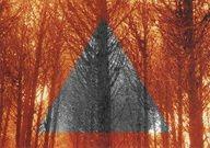 67413325642460938_51w6JzcP_b