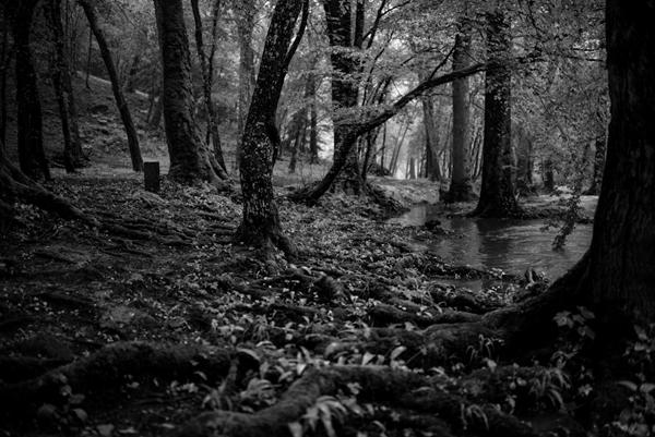 GLAMB – F/W 2012 COLLECTION LOOKBOOK