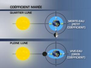 Marée, coefficient et attraction de la Lune et du Soleil