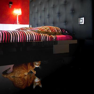 Commande pour une amie