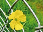 Passé point vous n'aurez plus d'issue possible...