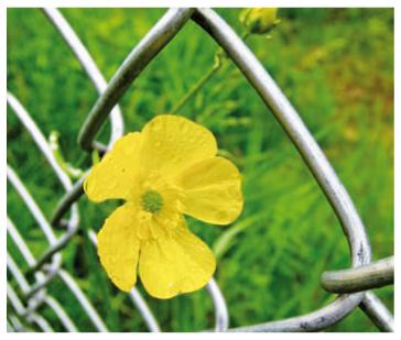 Passé ce point vous n'aurez plus d'issue possible...