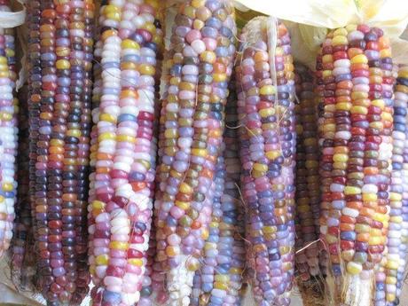 36166_438865687723_190963032723_5492960_1824372_n