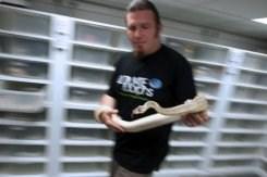 Sylvain Fauchoin pose avec un python dans sa cave à Chelles le 12 juin 2012