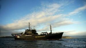 101119_SS_Bob_Barker_002_1210269_highres-78-550-310-80