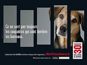 Campagne-contre-abandon-animaux 2011