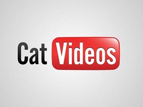 cat video youtube logo Des chaînes du câble sur Youtube ?