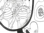 GRAOULLY DIMANCHE n°76