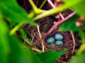 Chambre d'enfants...