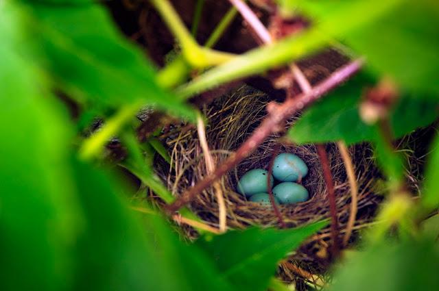 Chambre d'enfants...