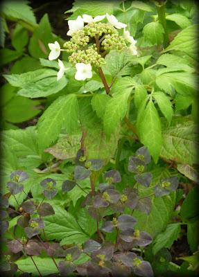 Ouf ! Un week-end à peu près ensoleillé, il était te...
