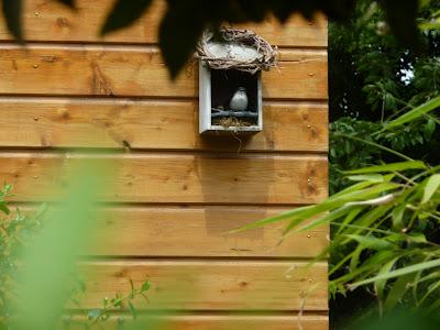 Ouf ! Un week-end à peu près ensoleillé, il était te...