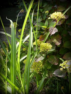 Ouf ! Un week-end à peu près ensoleillé, il était te...