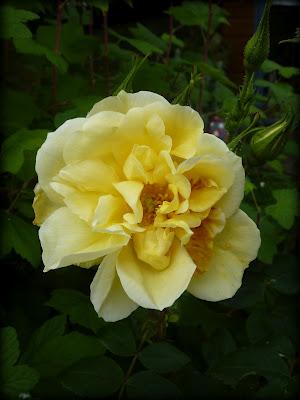 Ouf ! Un week-end à peu près ensoleillé, il était te...