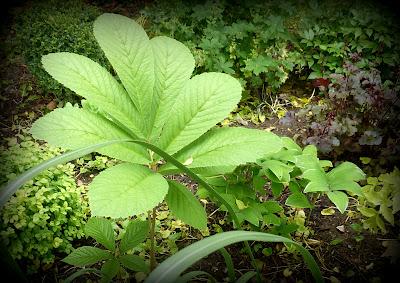 Ouf ! Un week-end à peu près ensoleillé, il était te...