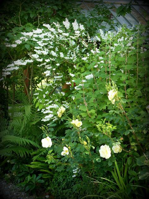 Ouf ! Un week-end à peu près ensoleillé, il était te...