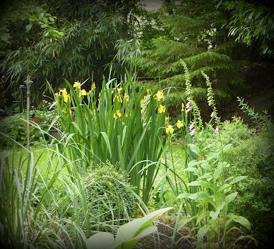 Ouf ! Un week-end à peu près ensoleillé, il était te...
