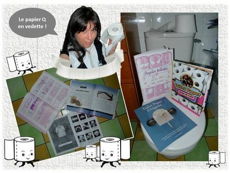 blog livre papier toilette PQ la vie en rose toilet paper origami