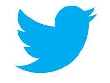 Pourquoi Twitter fascine: Trierweiler