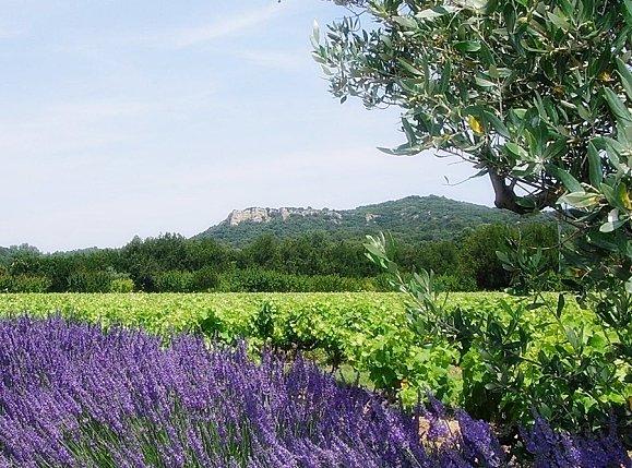 Provence-Home-Sweet-Home.JPG