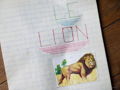 Le lion (exposé vintage)